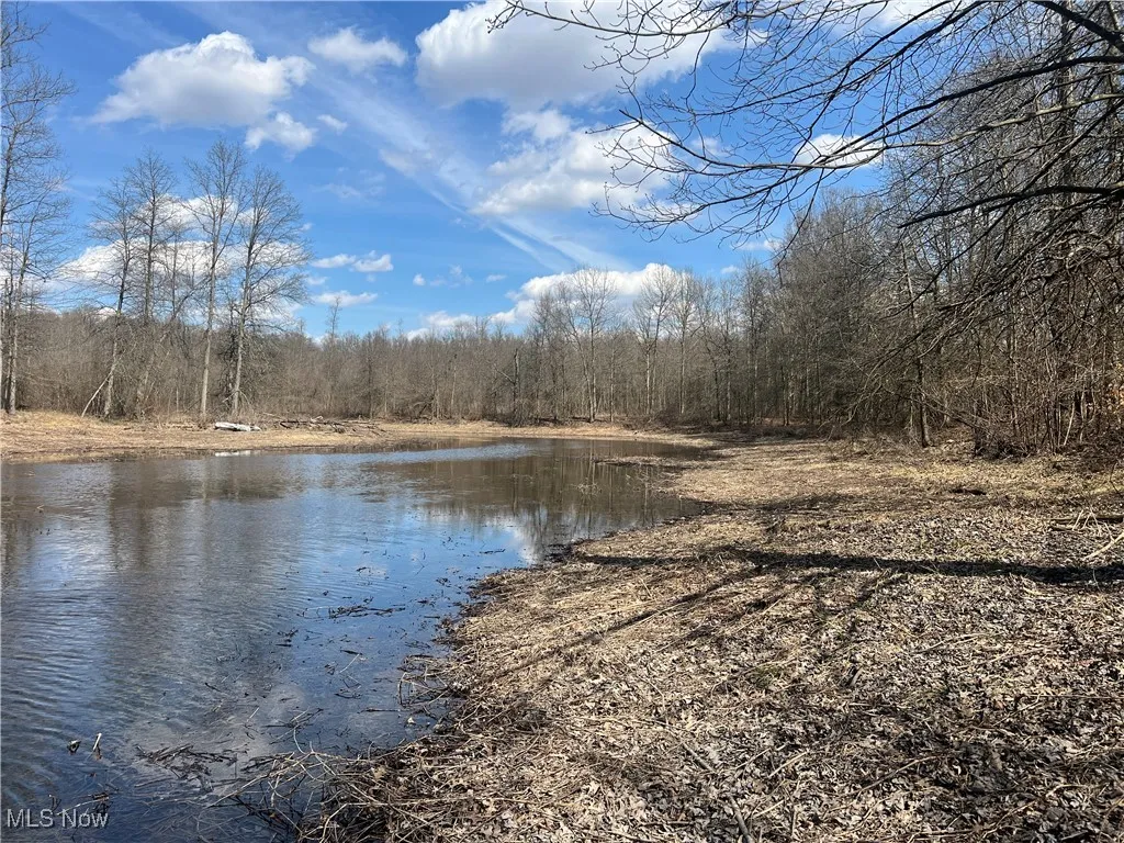 4427 US Route 322, Orwell, Ohio,MLS Now Listing ID