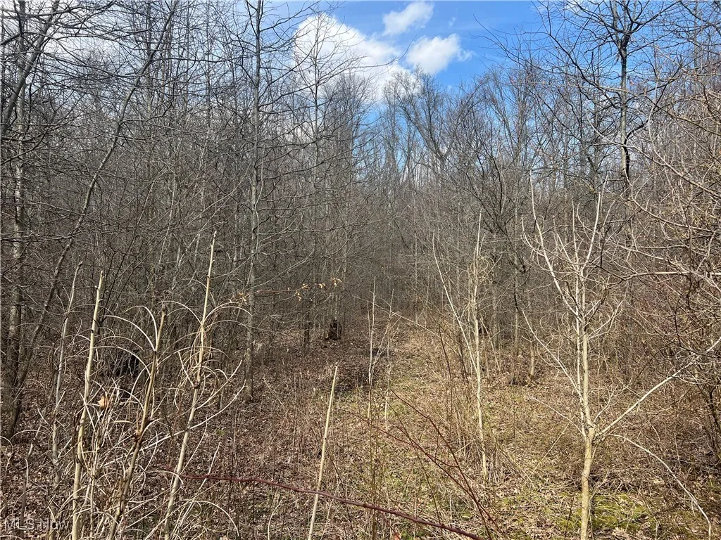 4427 US Route 322, Orwell, Ohio,MLS Now Listing ID