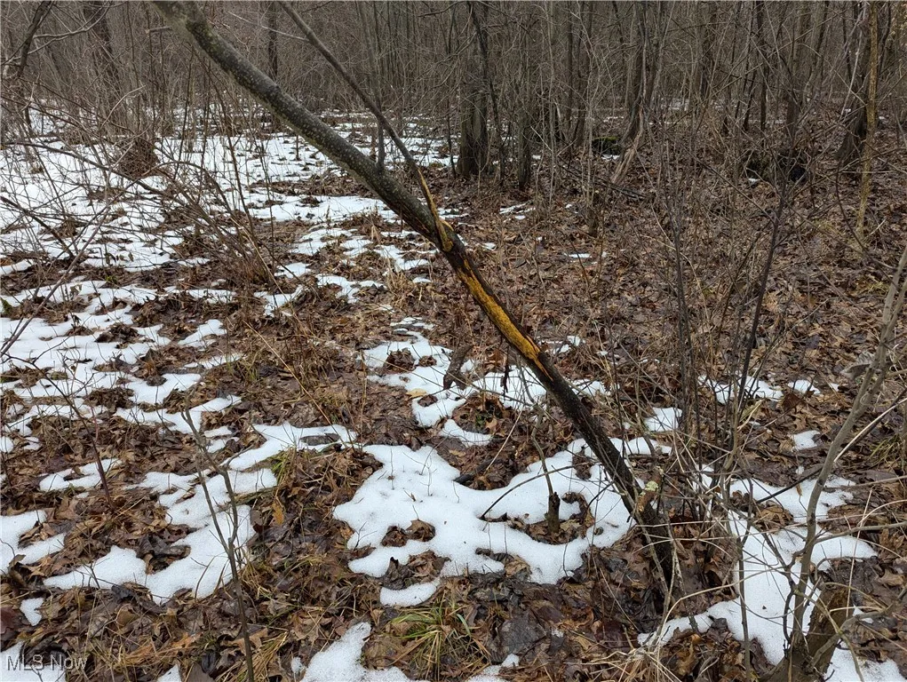 4427 US Route 322, Orwell, Ohio,MLS Now Listing ID