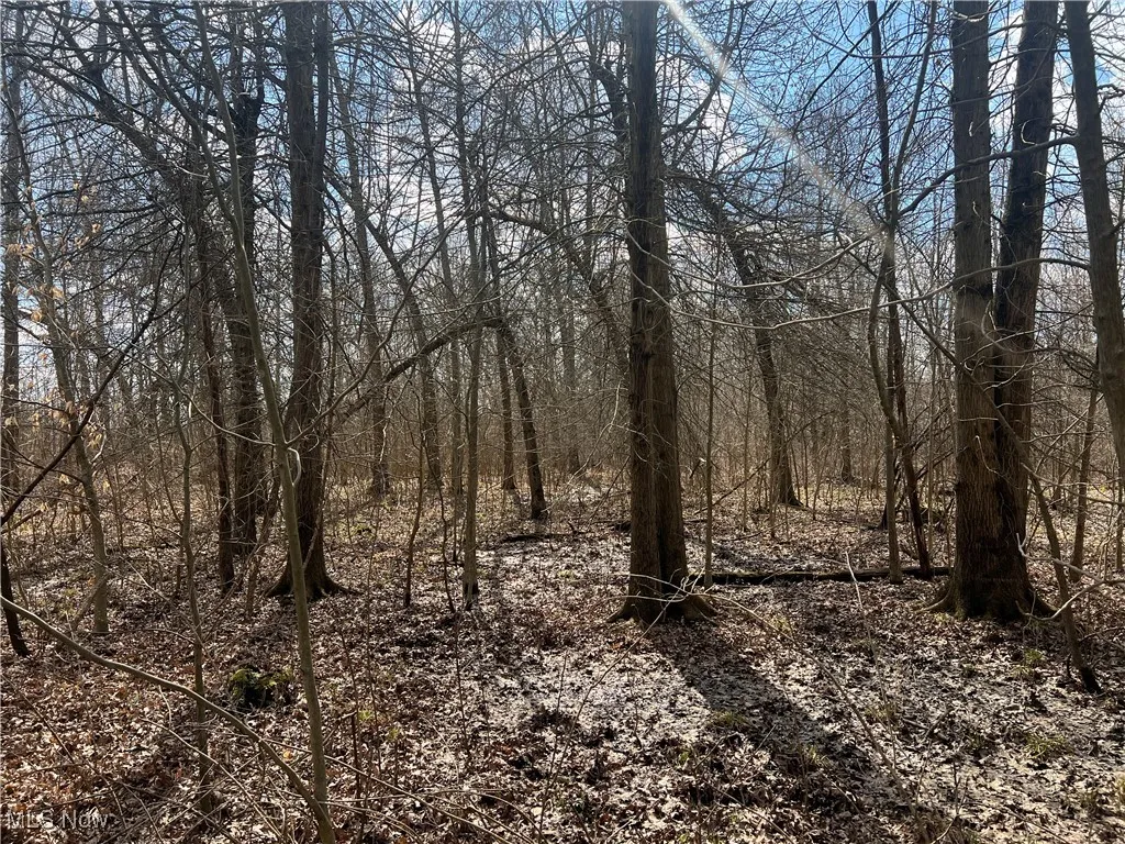 4427 US Route 322, Orwell, Ohio,MLS Now Listing ID
