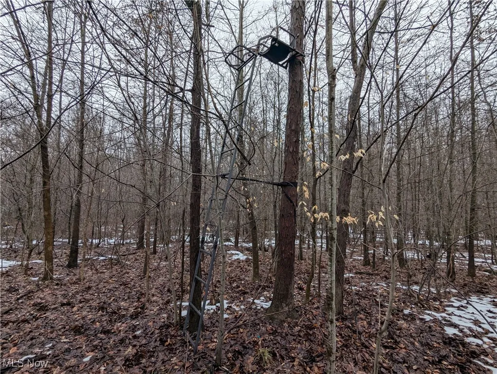 4427 US Route 322, Orwell, Ohio,MLS Now Listing ID