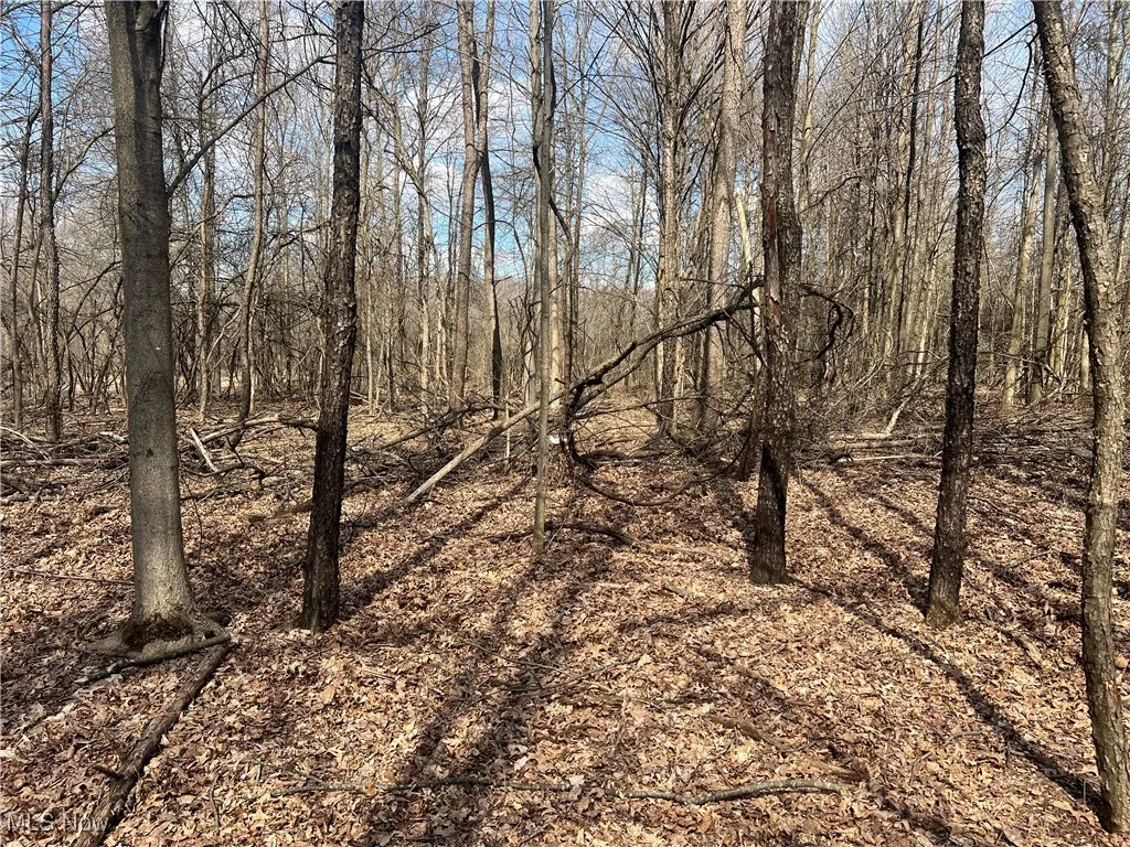 4427 US Route 322, Orwell, Ohio,MLS Now Listing ID