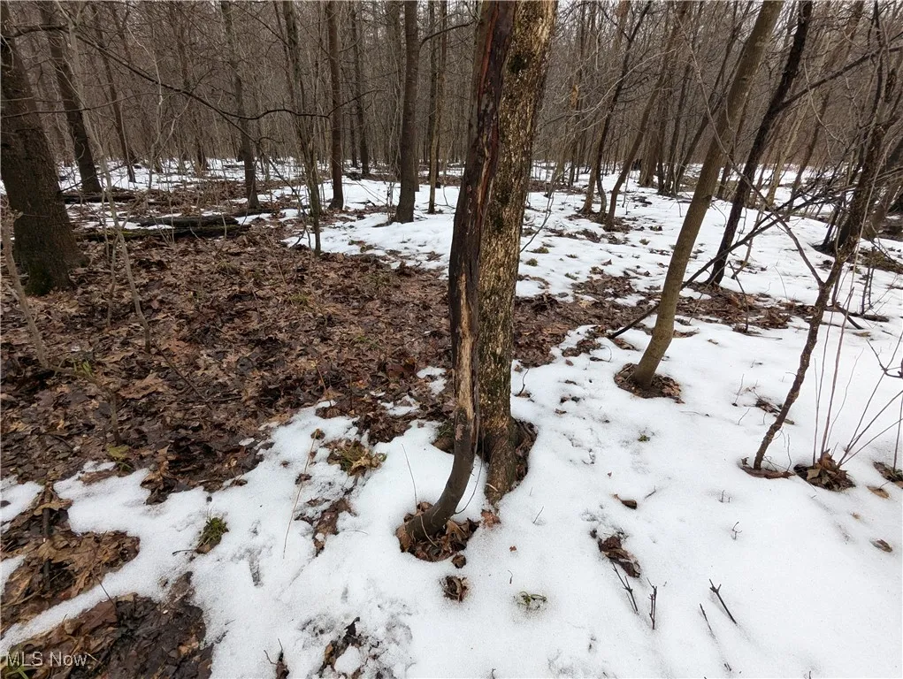 4427 US Route 322, Orwell, Ohio,MLS Now Listing ID