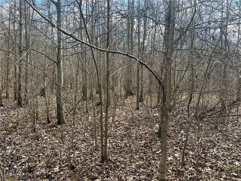 4427 US Route 322, Orwell, Ohio,MLS Now Listing ID