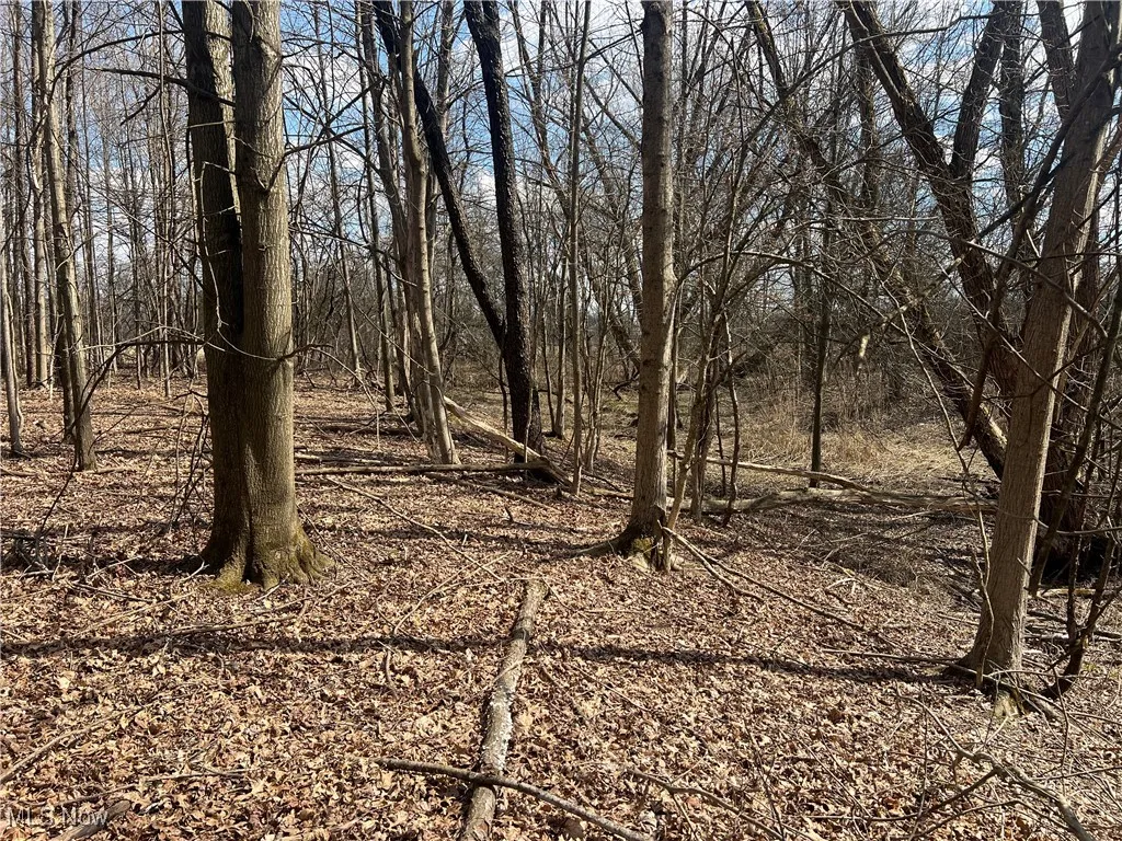 4427 US Route 322, Orwell, Ohio,MLS Now Listing ID