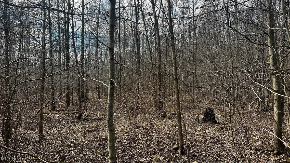 4427 US Route 322, Orwell, Ohio,MLS Now Listing ID