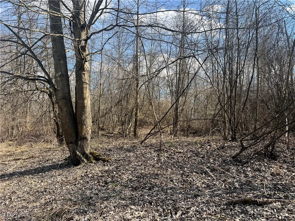 4427 US Route 322, Orwell, Ohio,MLS Now Listing ID