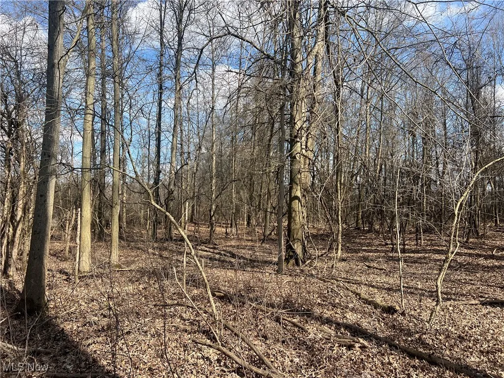4427 US Route 322, Orwell, Ohio,MLS Now Listing ID