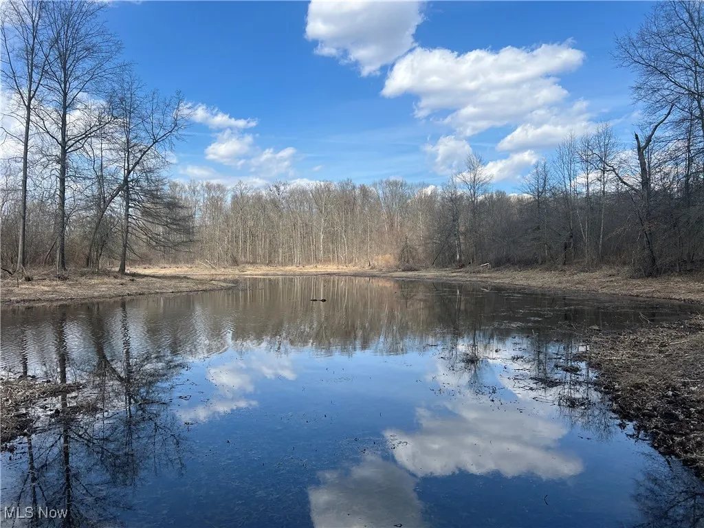 4427 US Route 322, Orwell, Ohio,MLS Now Listing ID