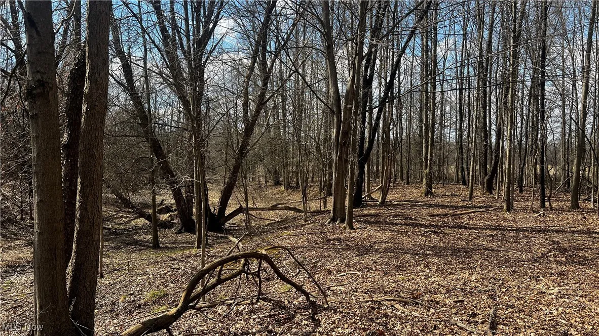 4427 US Route 322, Orwell, Ohio,MLS Now Listing ID