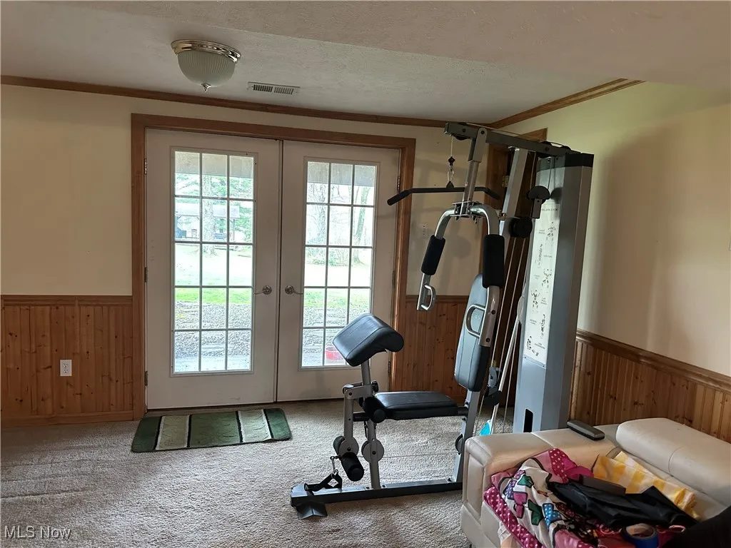 Exercise room with a wealth of natural light, carpet floors, and wainscoting