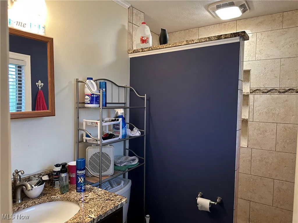 Bathroom featuring visible vents, toilet, and vanity