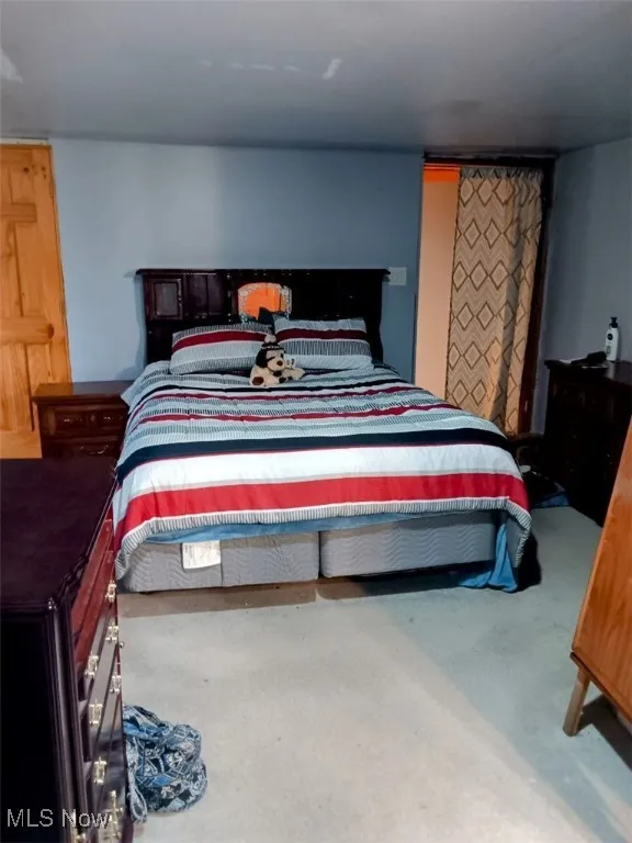 Bedroom with carpet