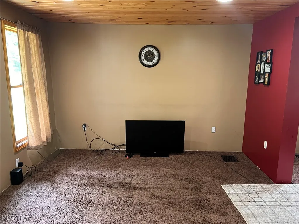 Vacant living room, wood ceiling and natural lighting