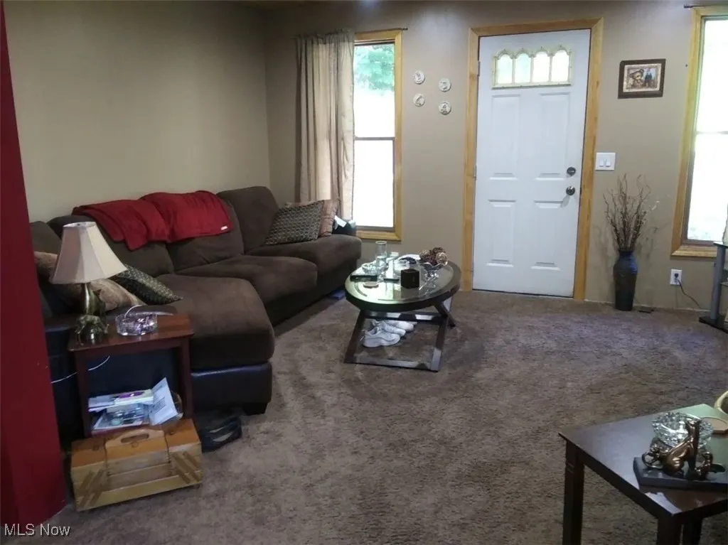 Living area with carpet