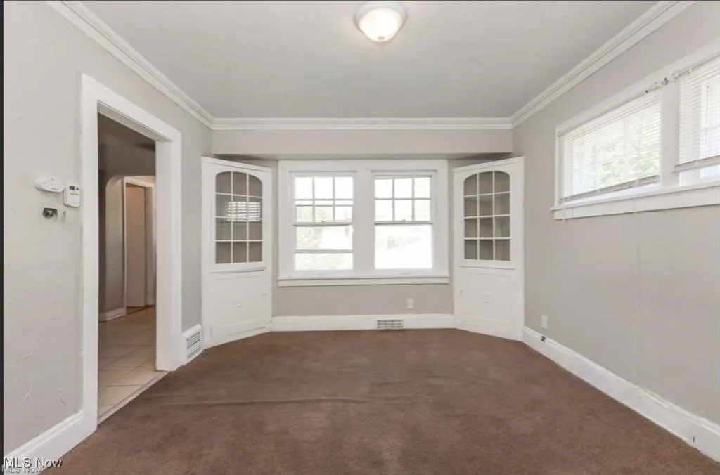 Spare room with carpet flooring, crown molding, and plenty of natural light