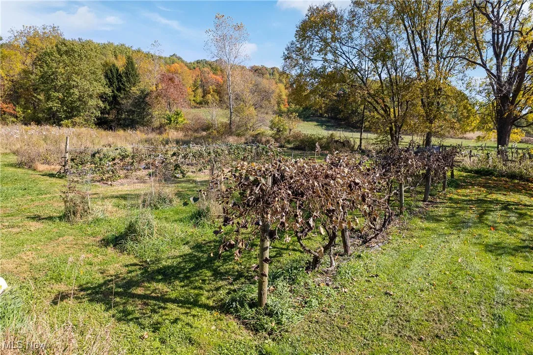 2289 N Reedsburg Road, Wooster, Ohio,MLS Now Listing ID