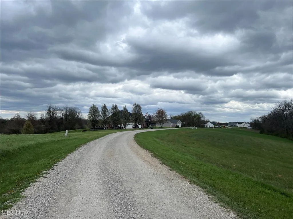 View of street featuring driveway