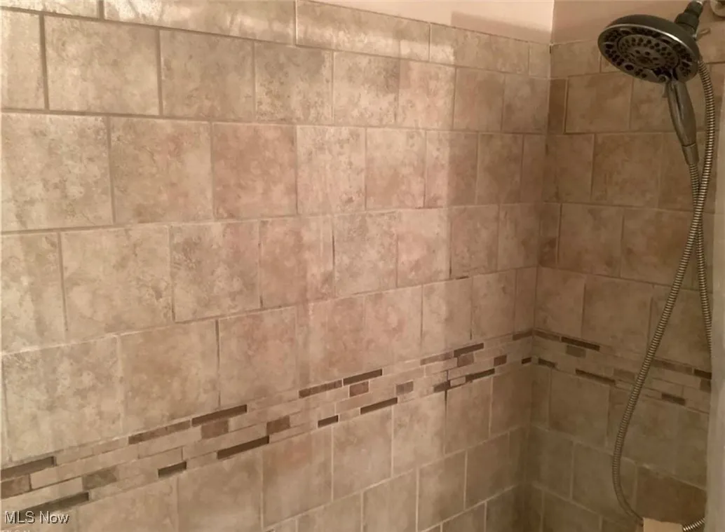 Interior details featuring tiled shower