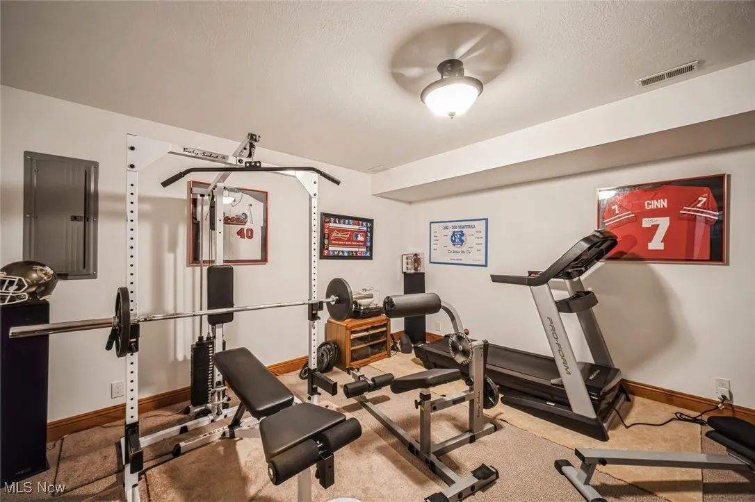 3803 Hamilton Road, Medina, Ohio,MLS Now Listing ID