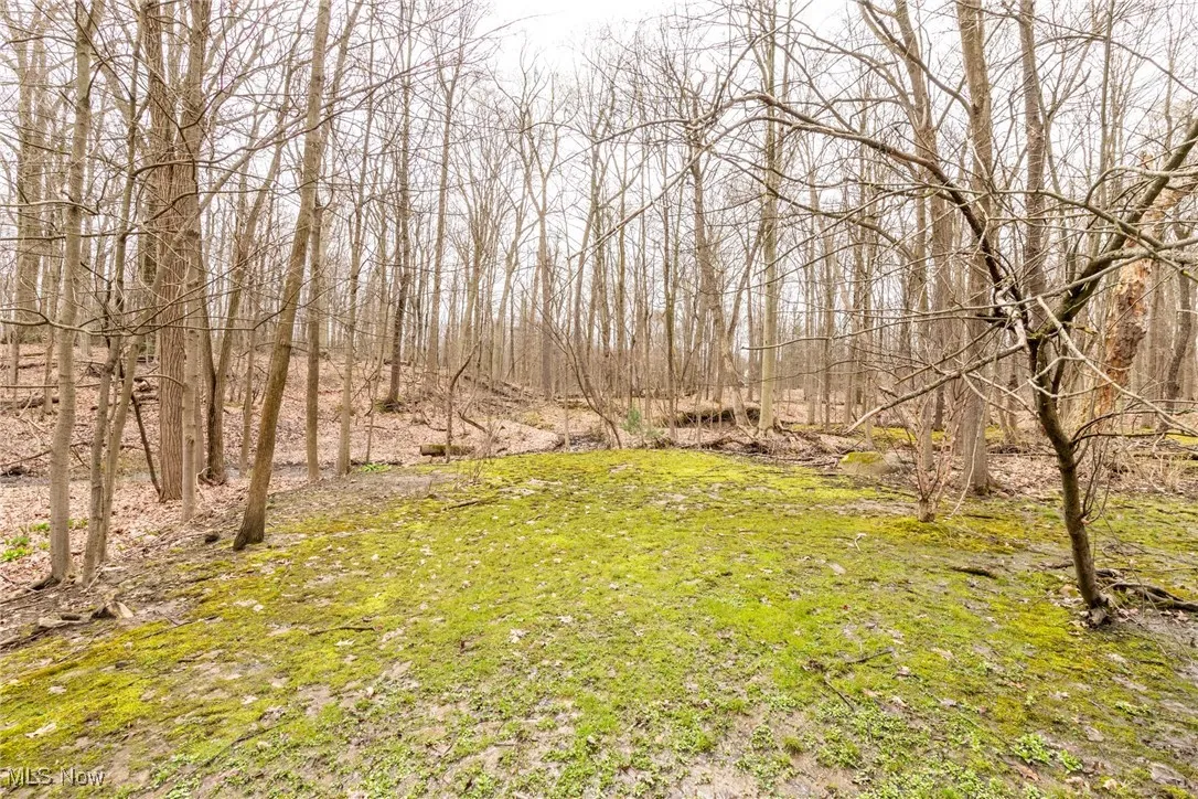 31870 Hiram Trail, Moreland Hills, Ohio,MLS Now Listing ID