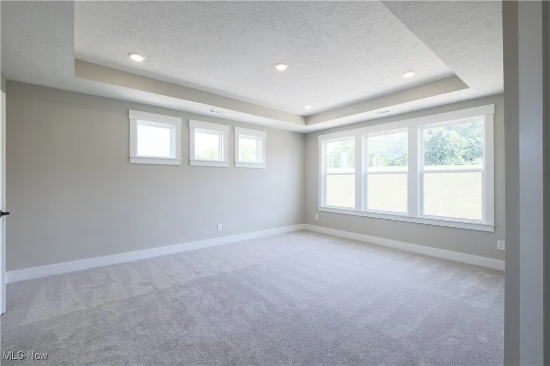 Spare room with a raised ceiling, light carpet, and a textured ceiling