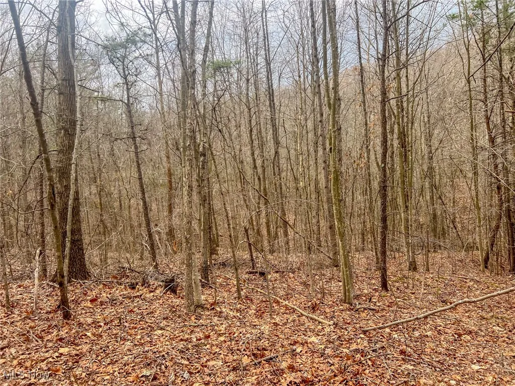 View of landscape featuring a forest view