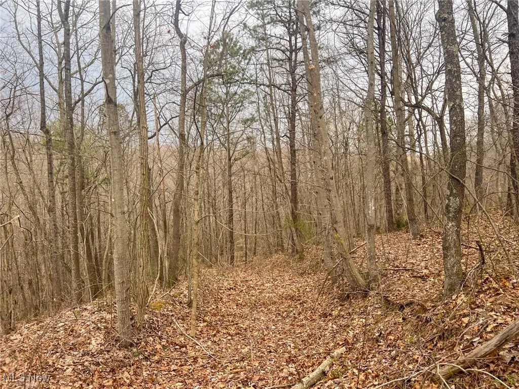 View of nature