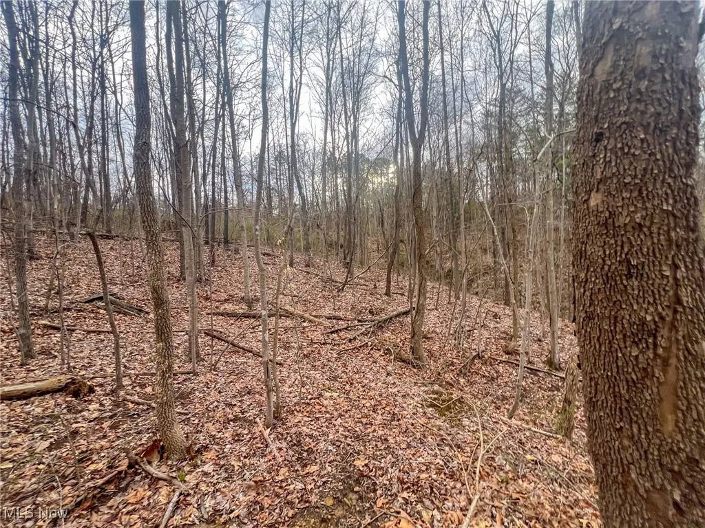 View of nature
