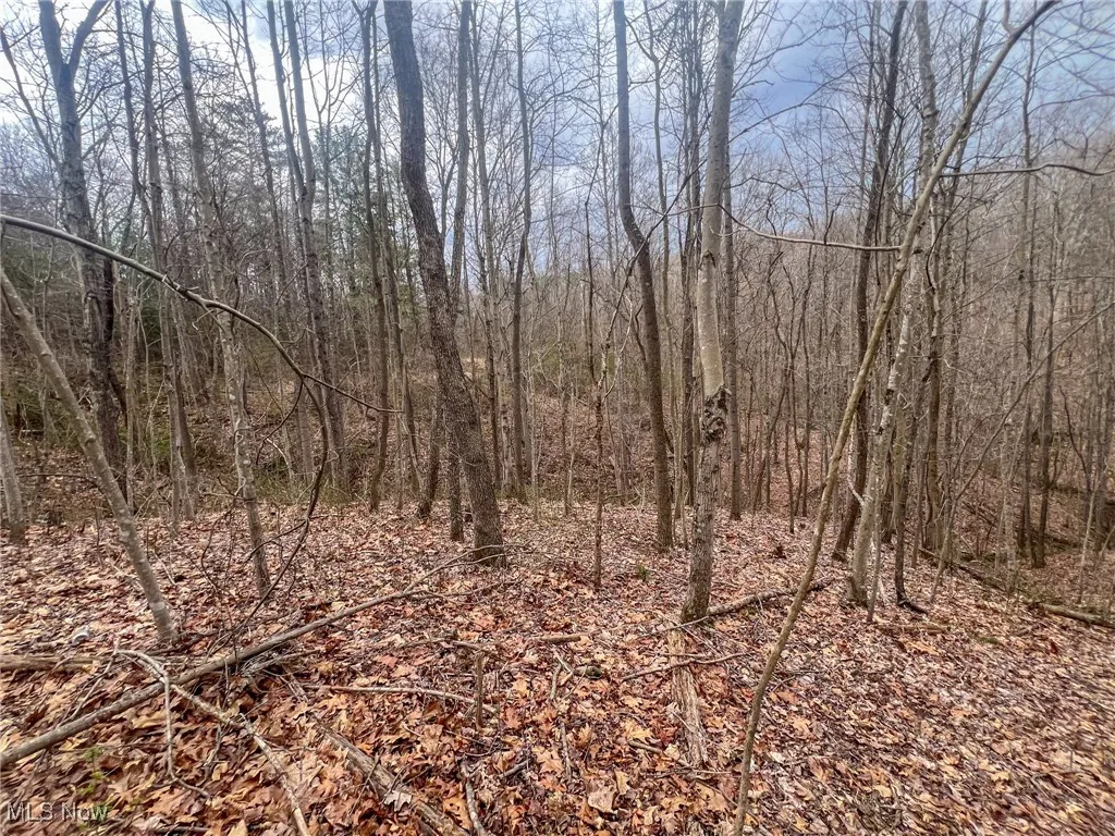 View of landscape featuring a forest view