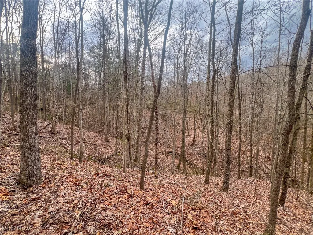View of nature with a forest view