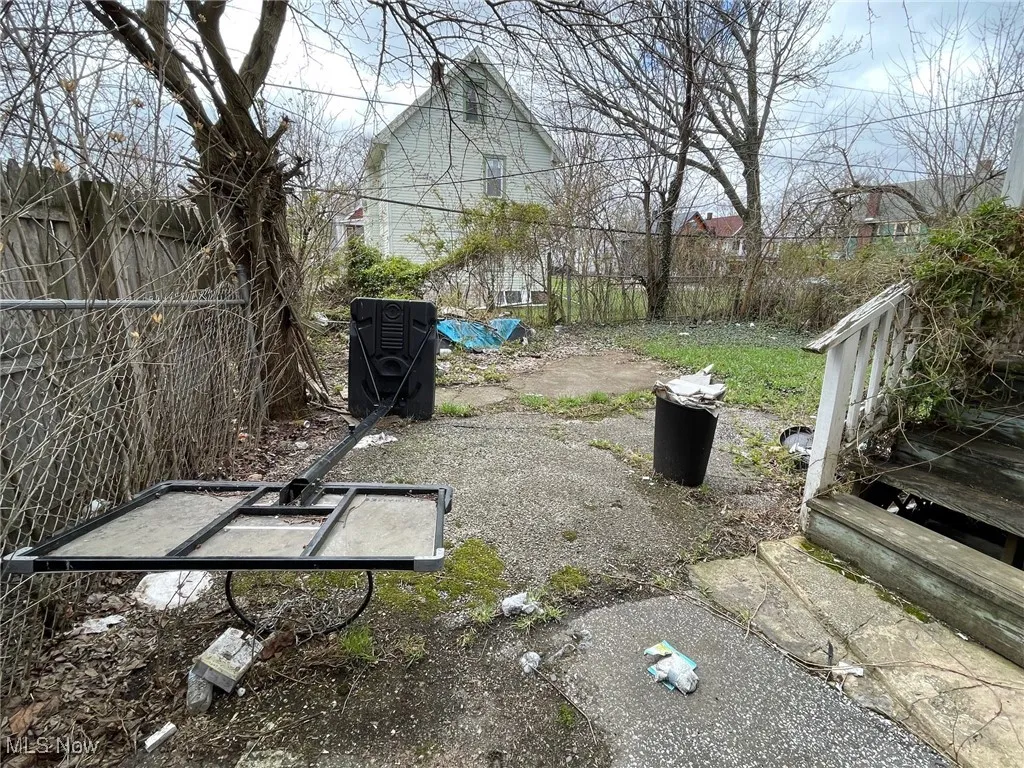 View of the backyard