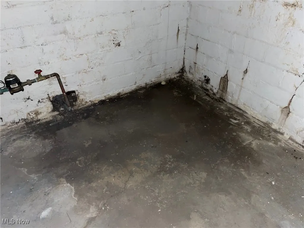 Basement view 9