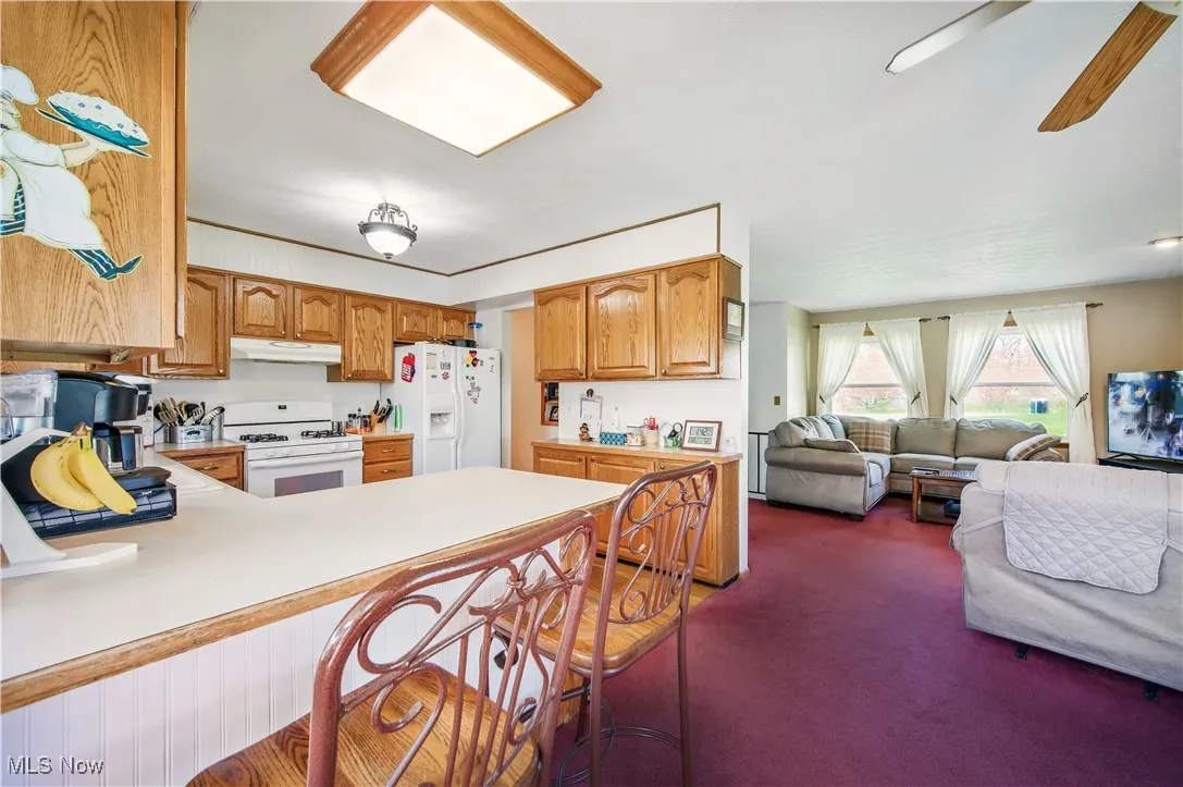 Kitchen featuring white appliances, dark carpet, under cabinet range hood, light countertops, and open floor plan