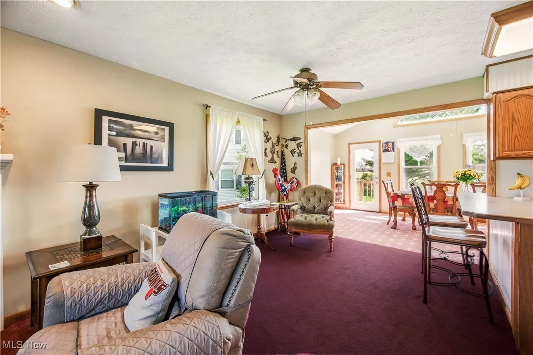 Carpeted living room with a textured ceiling and ceiling fan