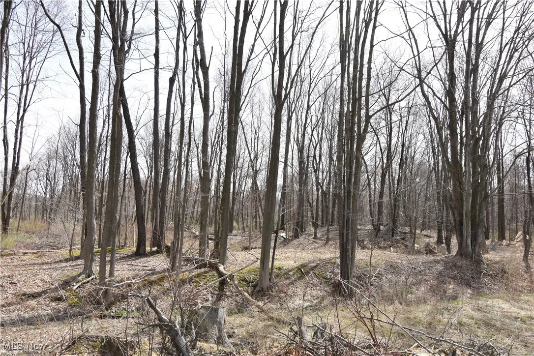 5628 State Route 7, Andover, Ohio,MLS Now Listing ID
