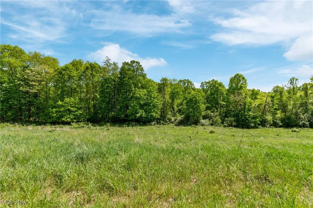 View of landscape with a view of trees