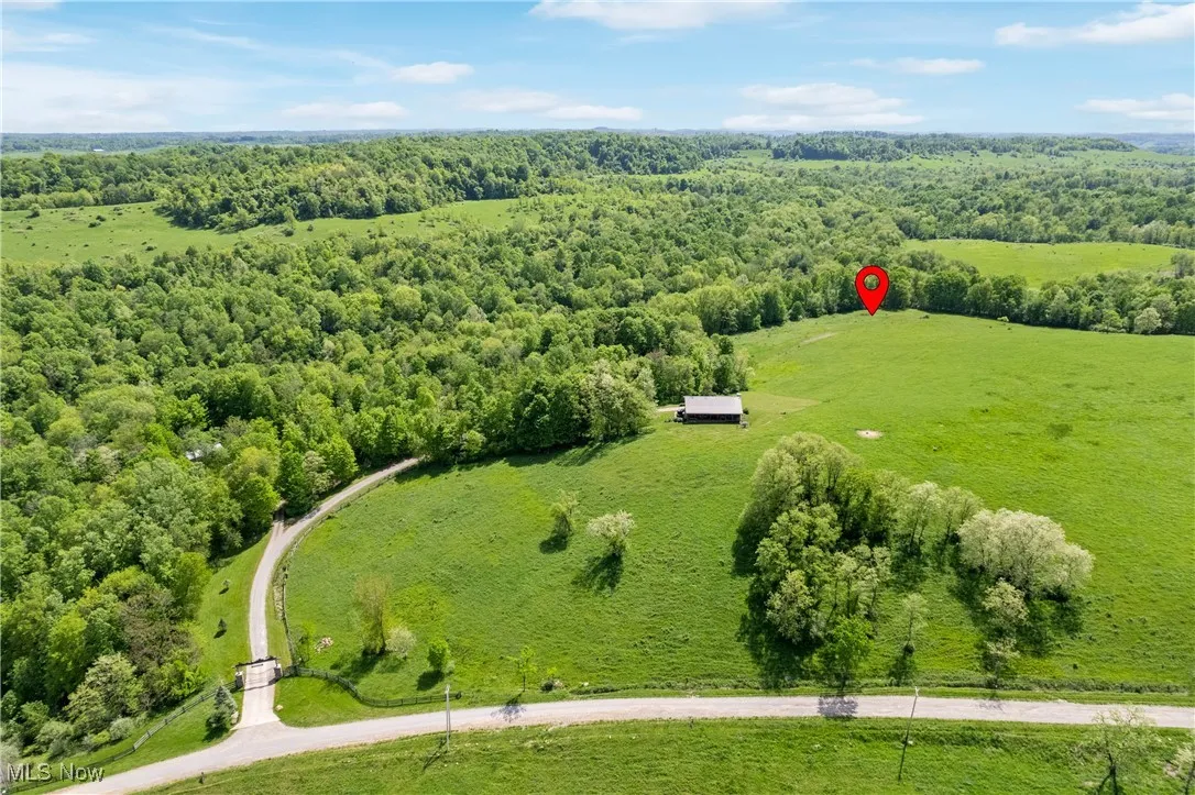 Drone / aerial view with a forest view