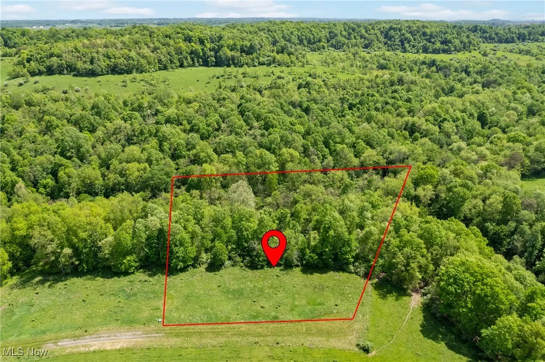 Drone / aerial view with a forest view