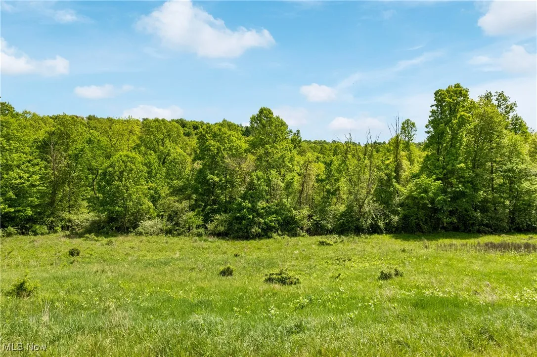 View of landscape featuring a forest view