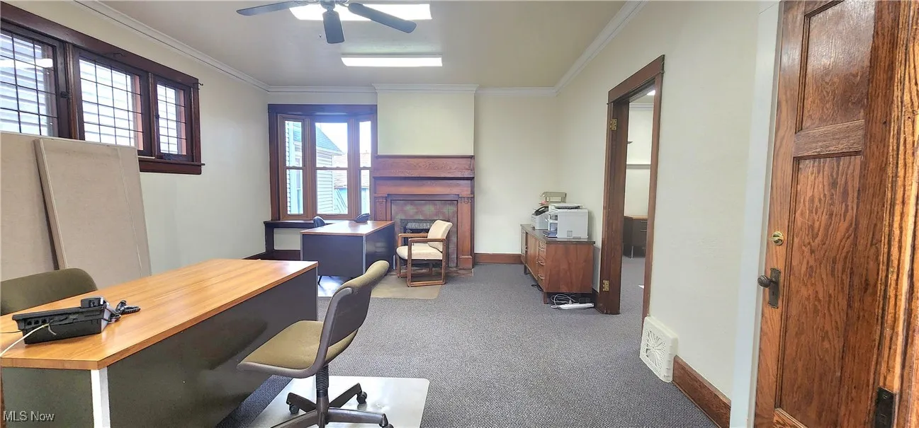 Carpeted home office with crown molding and ceiling fan