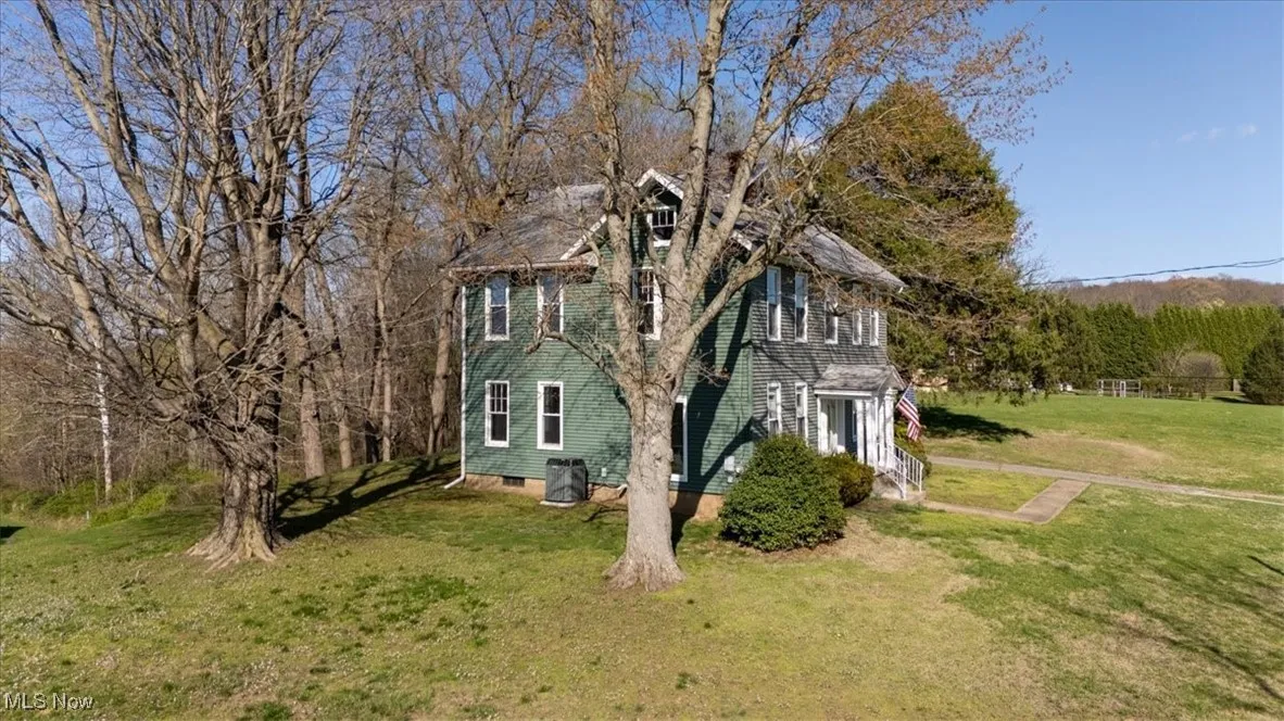 217 E 9th Street, Williamstown, West Virginia,MLS Now Listing ID