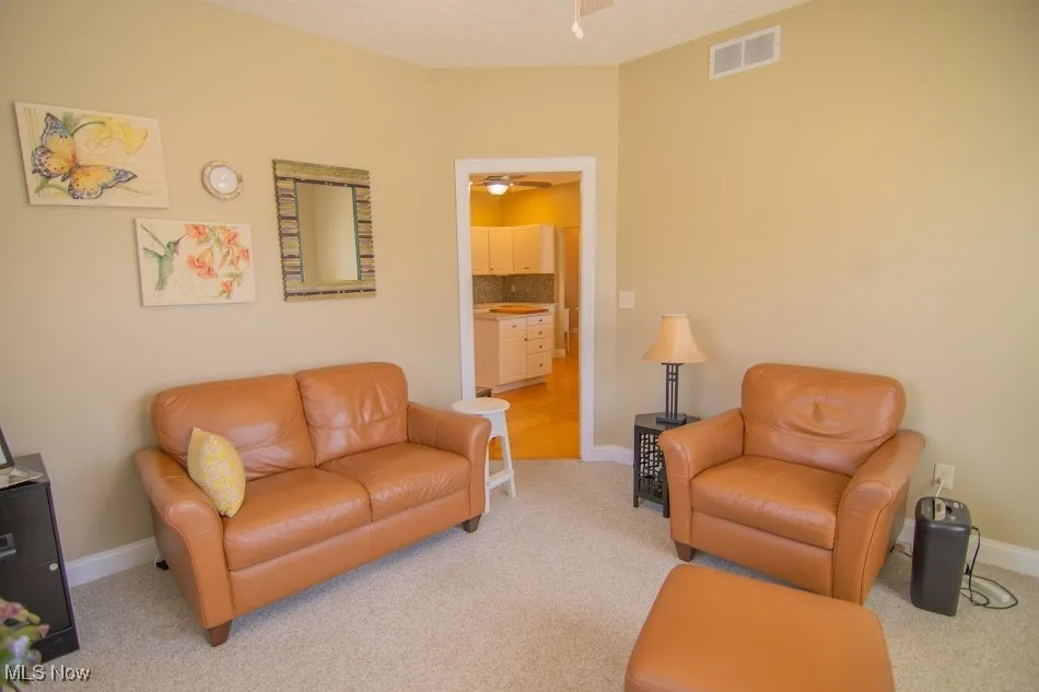 Carpeted living area with baseboards, a ceiling fan, and visible vents
