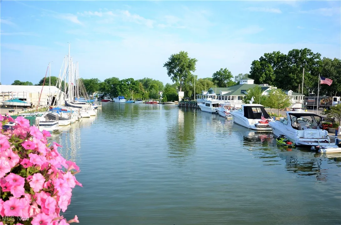 Vermilion River