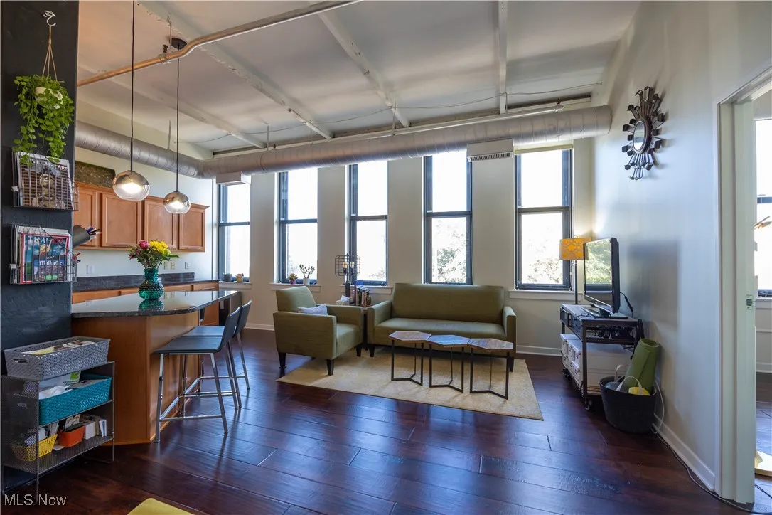 1133 W 9th Street # 210, Cleveland, Ohio 44113,MLS Now Listing ID