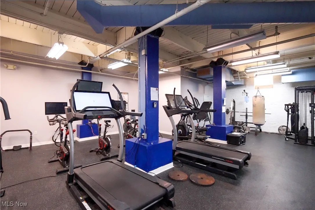 1133 W 9th Street # 210, Cleveland, Ohio 44113,MLS Now Listing ID