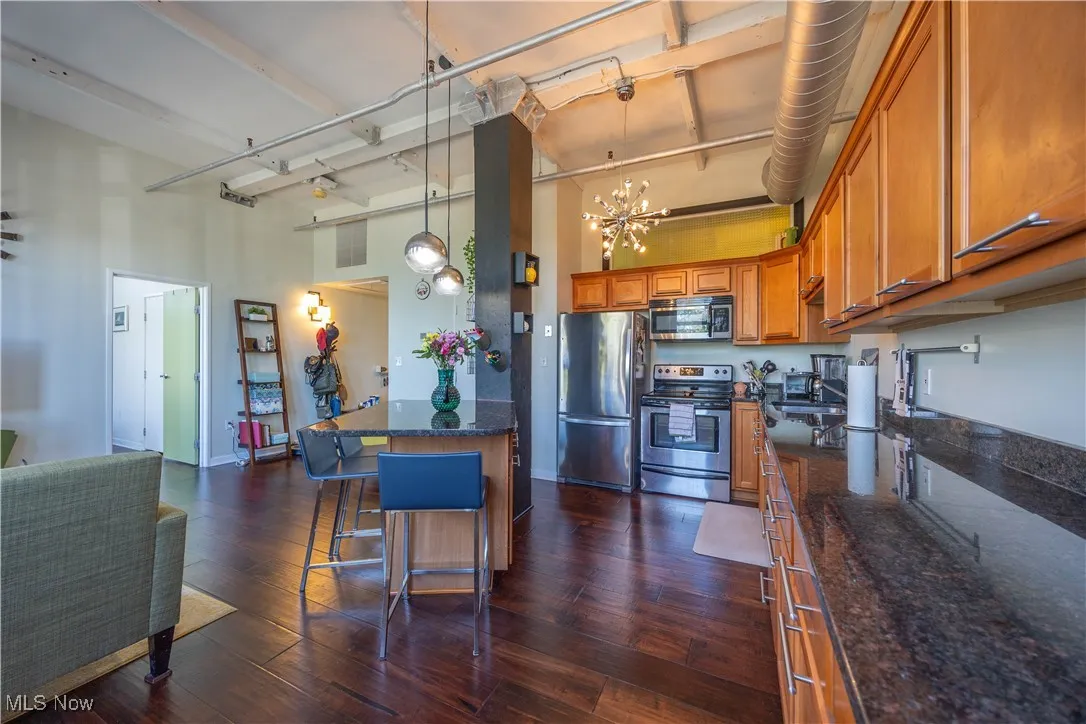 1133 W 9th Street # 210, Cleveland, Ohio,MLS Now Listing ID