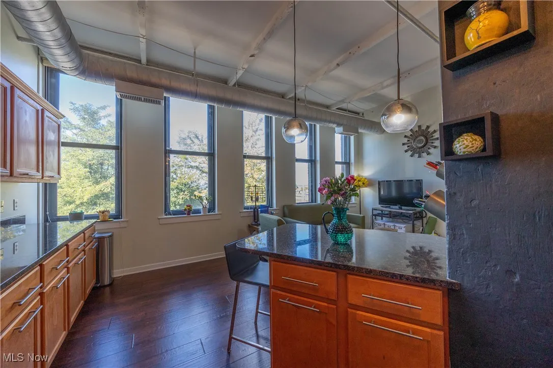 1133 W 9th Street # 210, Cleveland, Ohio,MLS Now Listing ID
