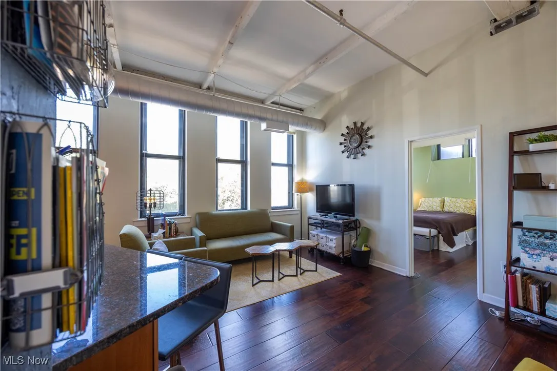 1133 W 9th Street # 210, Cleveland, Ohio 44113,MLS Now Listing ID