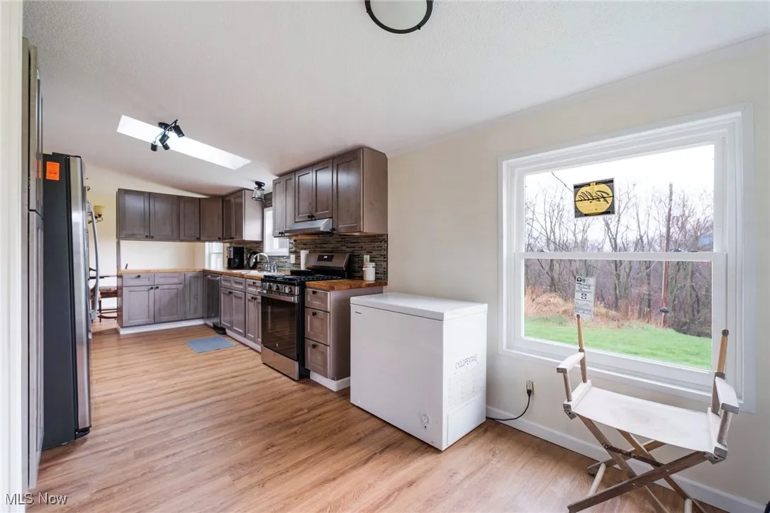 Kitchen featuring appliances with stainless steel finishes, light wood-type flooring, dark brown cabinets, decorative backsplash, and a sink